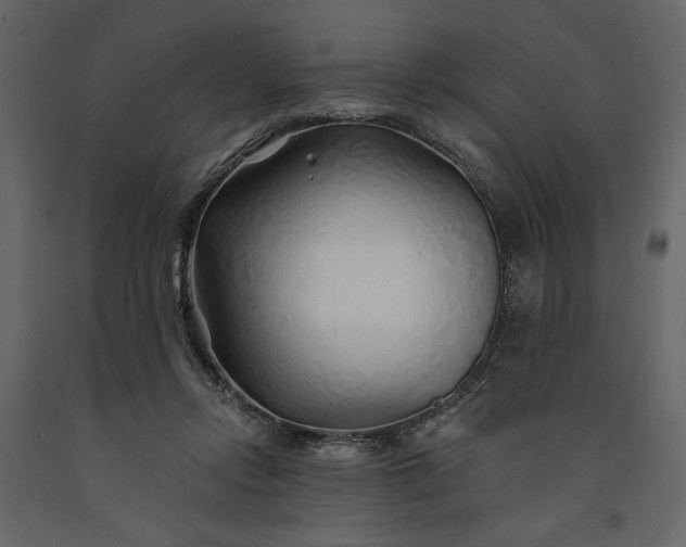 X0000091230358200708231700