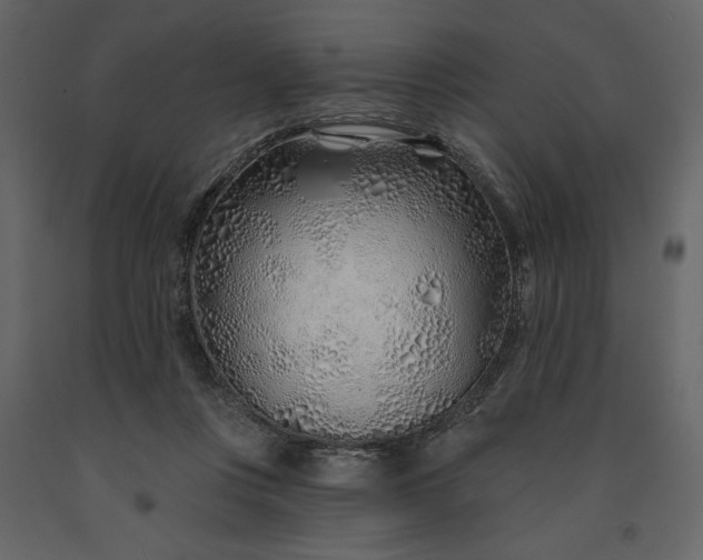 X0000091230359200708231700