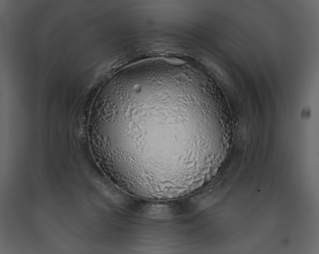 X0000091230361200708231700