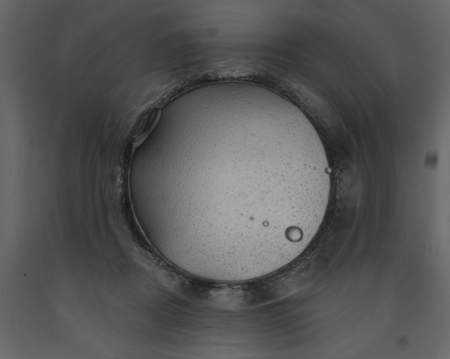 X0000091230362200708231700