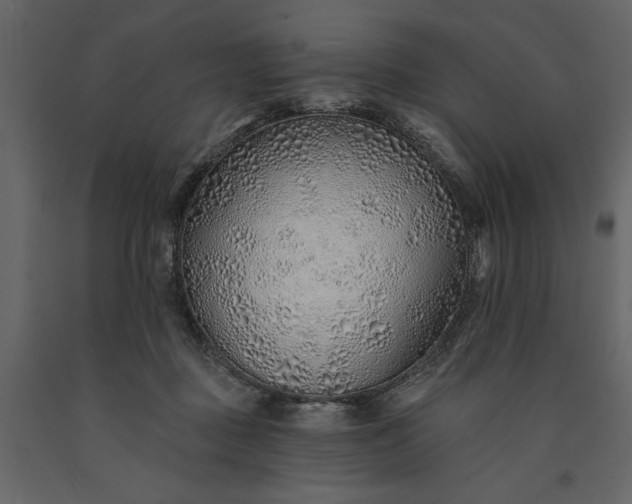 X0000091230363200708231700