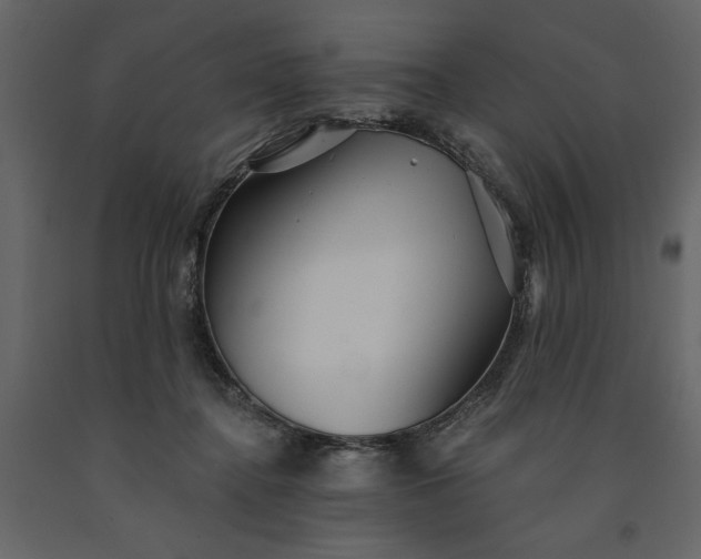 X0000091230364200708231700