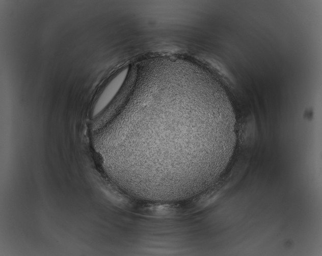 X0000091230365200708231700