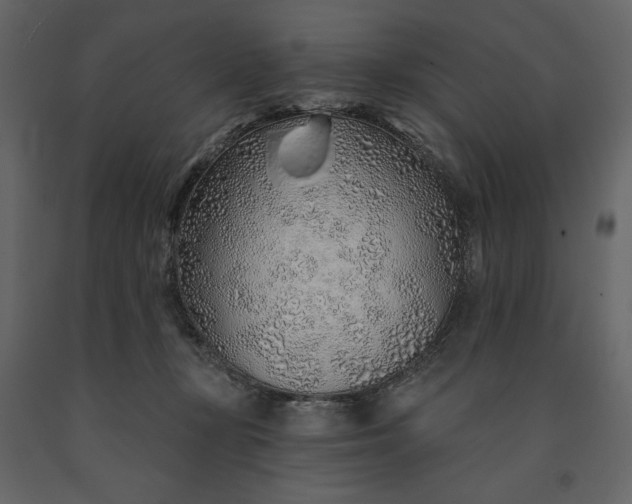 X0000091230367200708231700