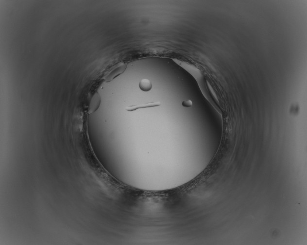 X0000091230368200708231700