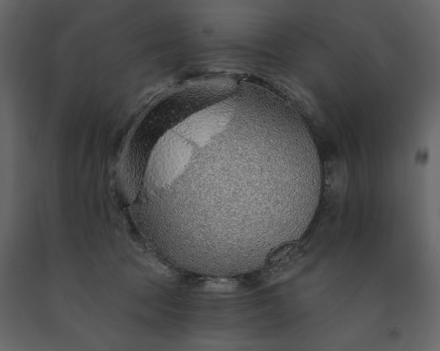 X0000091230369200708231700
