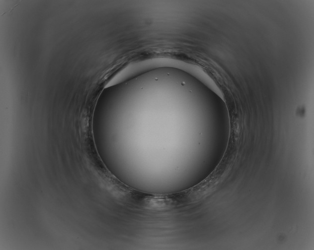 X0000091230372200708231700