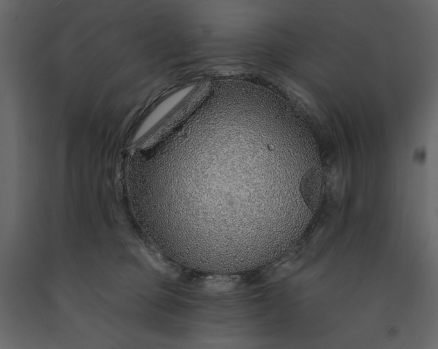 X0000091230373200708231700