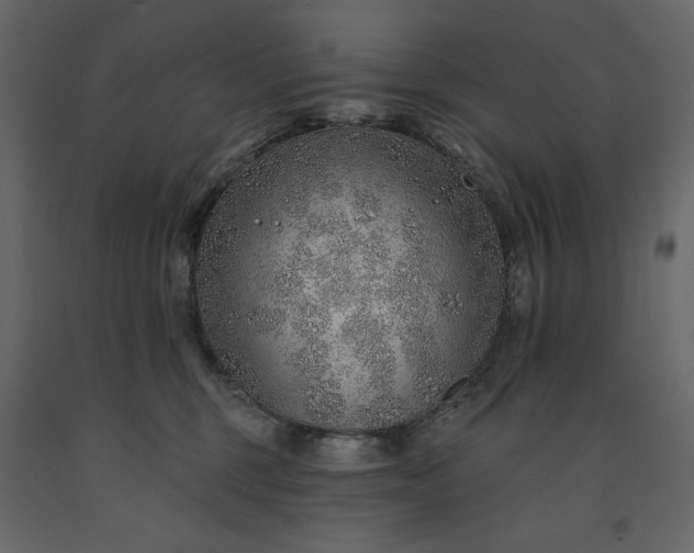 X0000091230375200708231700