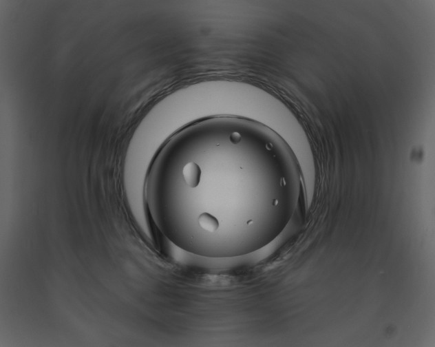 X0000091230376200708231700