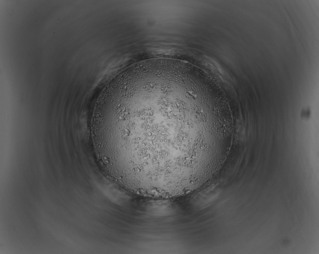 X0000091230377200708231700