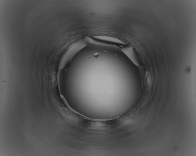 X0000091230380200708231700