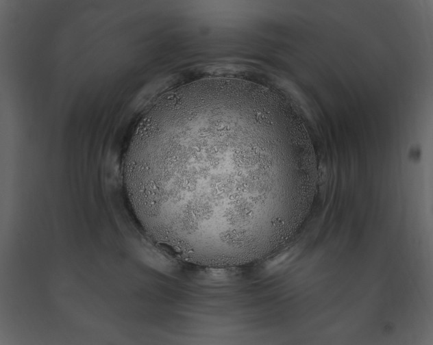 X0000091230381200708231700