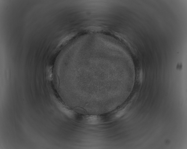 X0000091230383200708231700