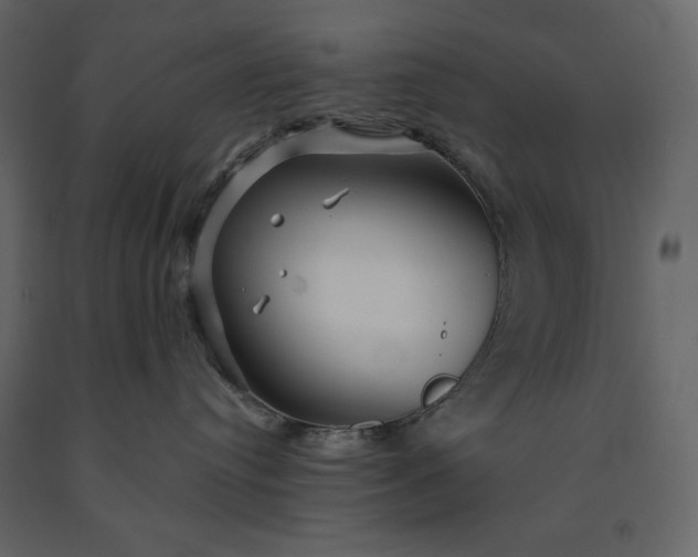 X0000091230384200708231700