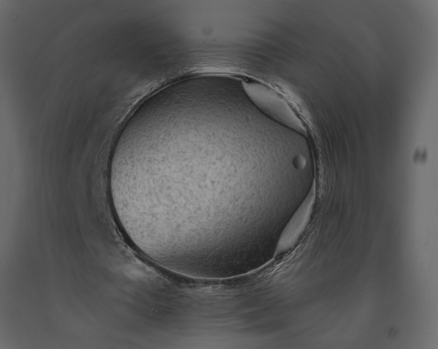 X0000091230385200708231659