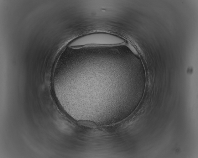 X0000091230386200708231659
