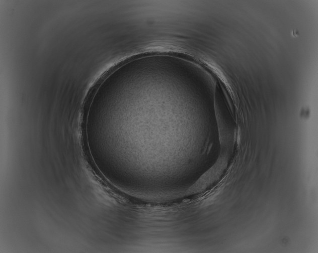 X0000091230387200708231659
