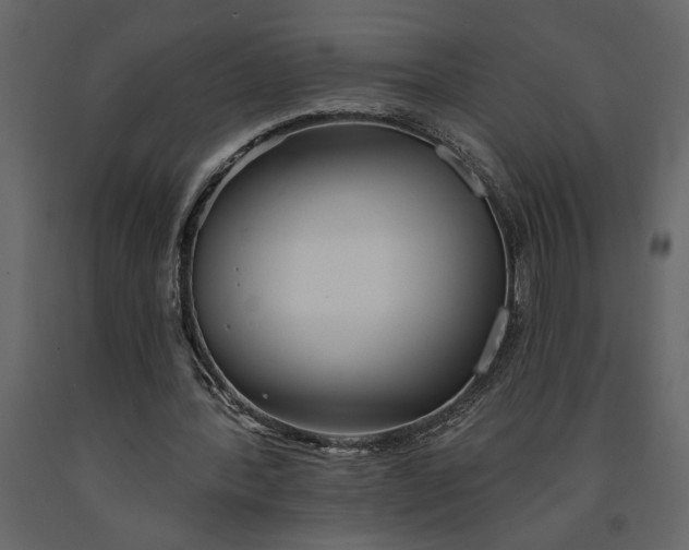 X0000091230388200708231659