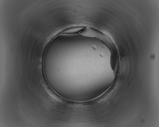 X0000091230389200708231659