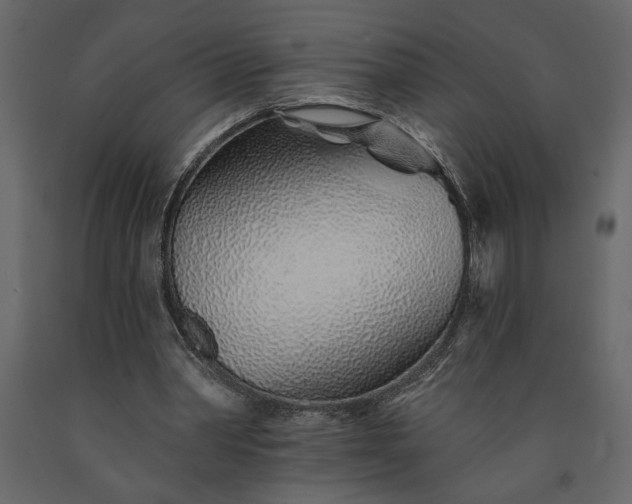 X0000091230390200708231659