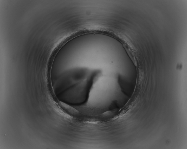 X0000091230391200708231659