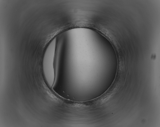 X0000091230393200708231659