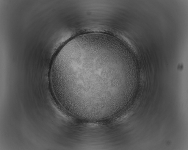 X0000091230394200708231659