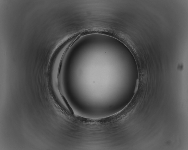 X0000091230395200708231659