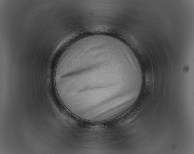 X0000091230396200708231659