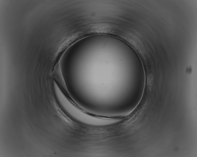 X0000091230397200708231659