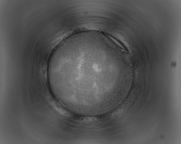 X0000091230398200708231659