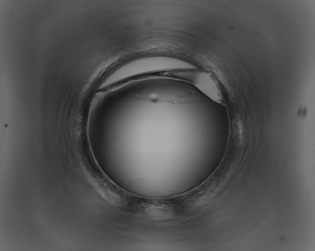 X0000091230400200708231659