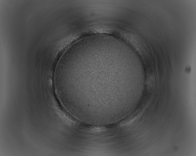 X0000091230402200708231659
