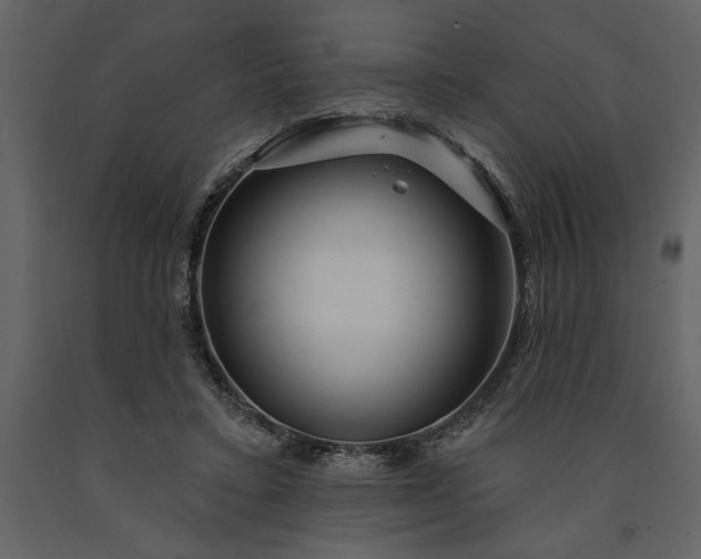 X0000091230403200708231659