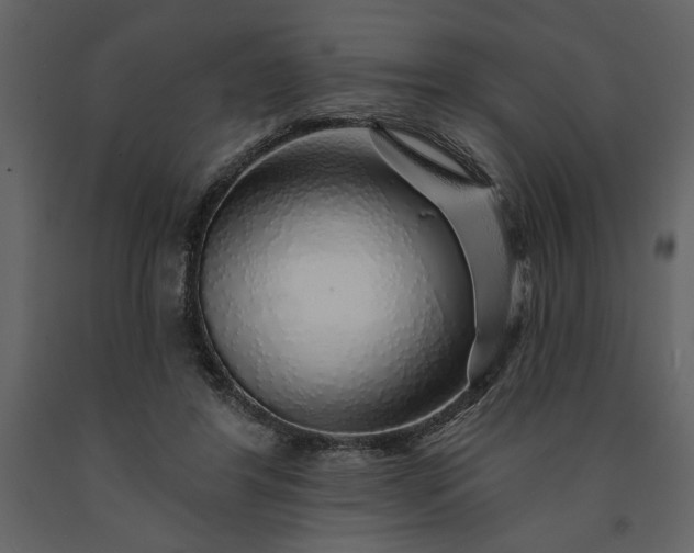 X0000091230404200708231659