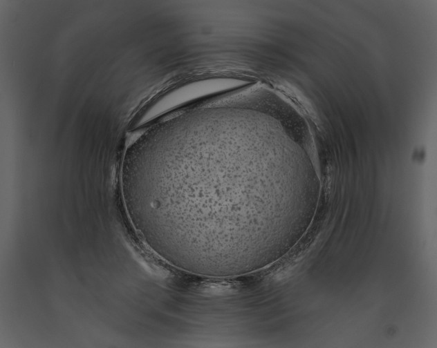 X0000091230405200708231659
