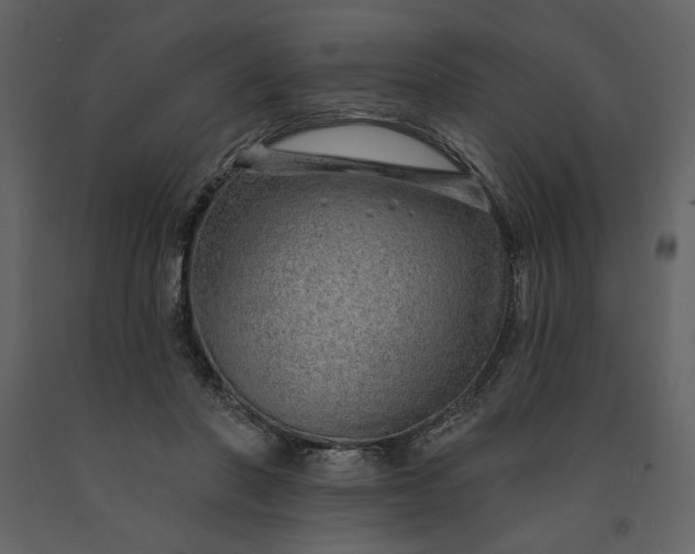 X0000091230406200708231659