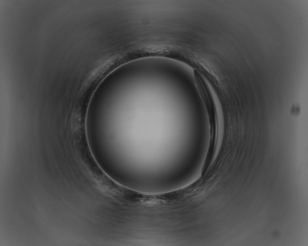 X0000091230407200708231659