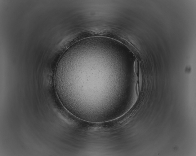 X0000091230408200708231659