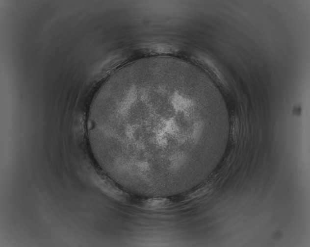 X0000091230410200708231659