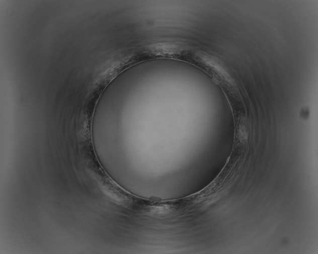 X0000091230411200708231659