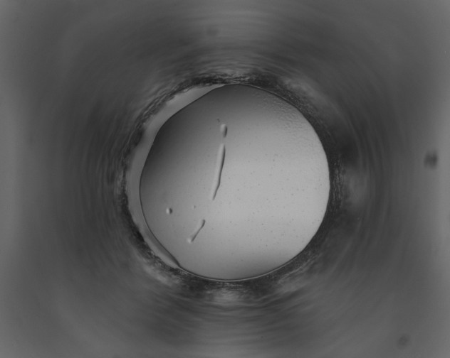 X0000091230412200708231659