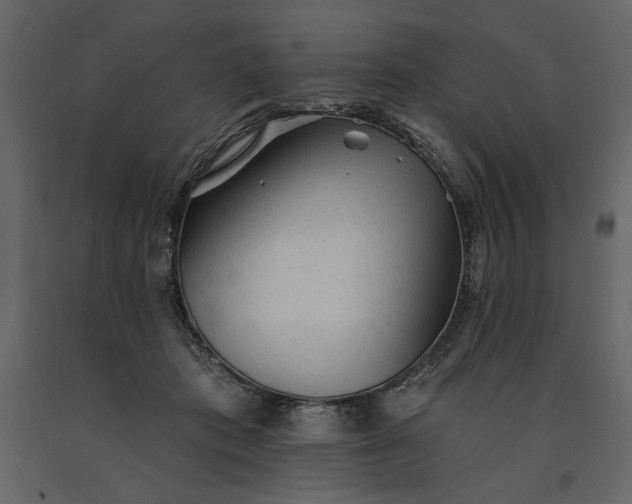 X0000091230413200708231659
