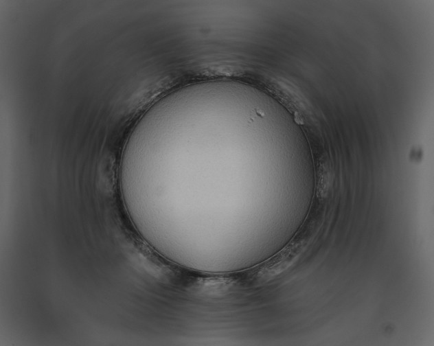 X0000091230414200708231659