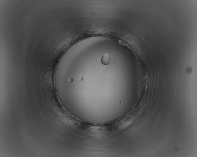 X0000091230415200708231659