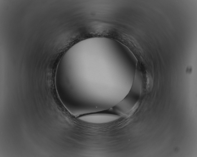X0000091230416200708231659