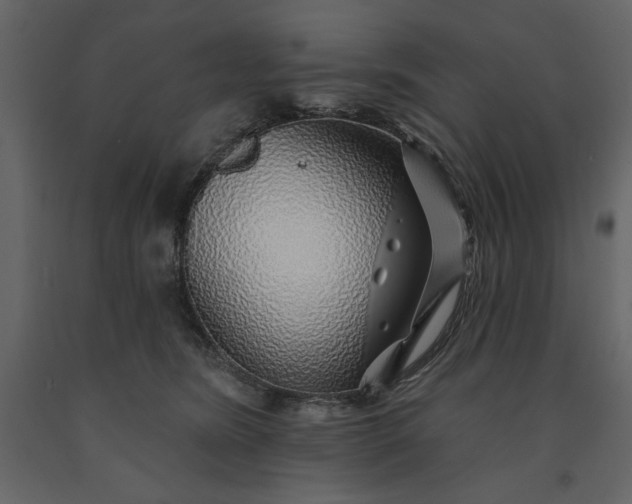 X0000091230420200708231659