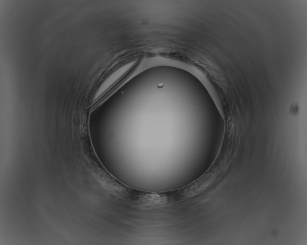 X0000091230421200708231658