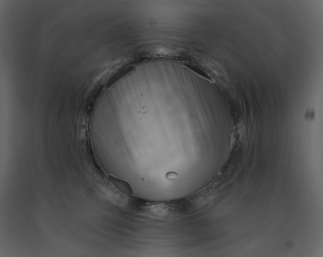 X0000091230423200708231658